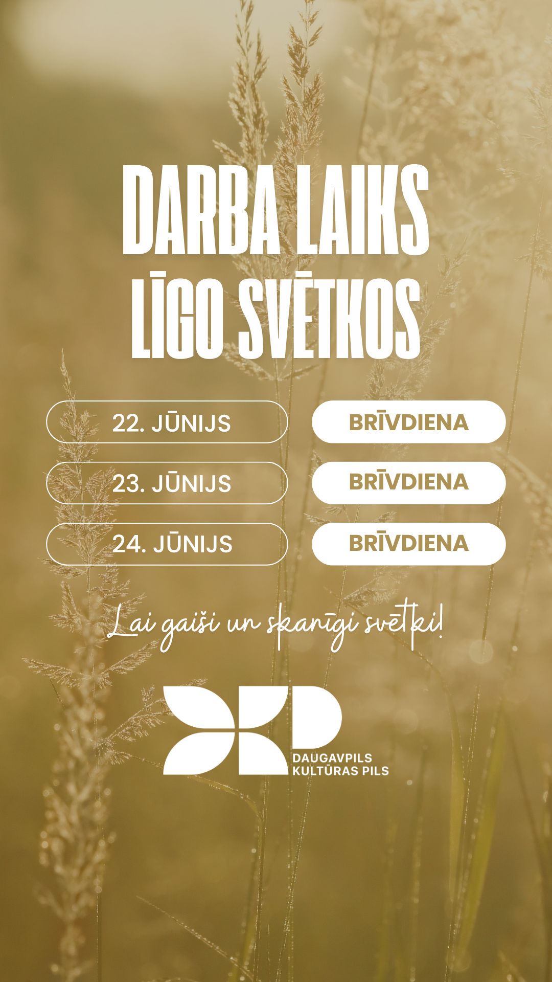 dkplapai un led ekrāniem 1080 x 1920 (8)